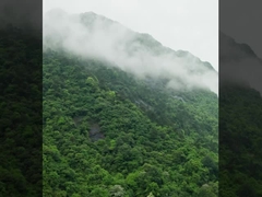 ระบบเครื่องบินไร้คนขับ DJI FC30 FlyCart 30 ผลิตโดย MYUAV